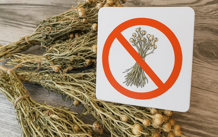 Запрещён ввоз растения гармала (ысырык, адырашман) в РФ